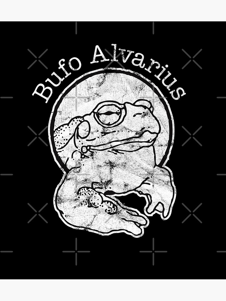 "DMT Bufo Alvarius Toad 5-MeO-DMT Dimethyltryptamine Psychedelic ...