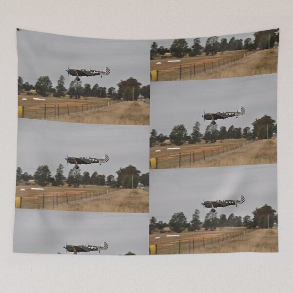 Item preview, 2019 Temora - Kittyhawk VH-PFO Over Fence designed and sold by muz2142.