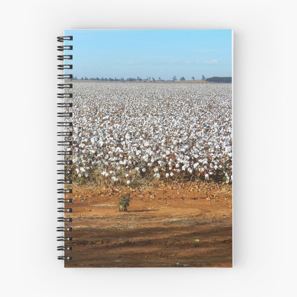 Item preview, Cotton fields of NSW designed and sold by Hans Peðer Alfreð .
