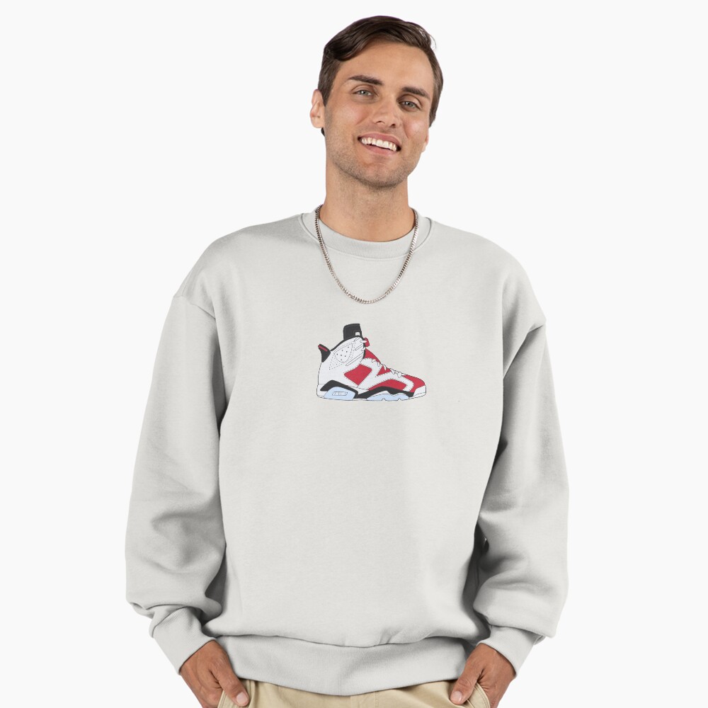 jordan carmine 6 hoodie