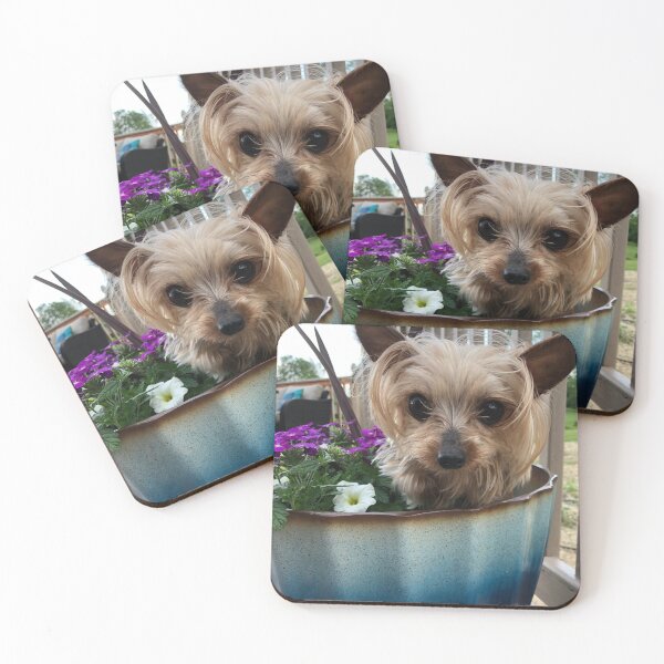 Item preview, Ella Miniature Yorkshire Terrier :: Canines and Felines designed and sold by Platinumfrog.