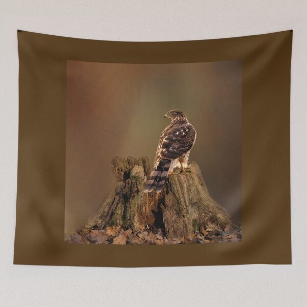 Item preview, Cooper's Hawk designed and sold by Kathy Weaver.