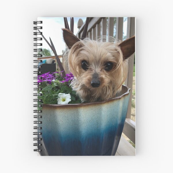 Item preview, Ella Miniature Yorkshire Terrier :: Canines and Felines designed and sold by Platinumfrog.