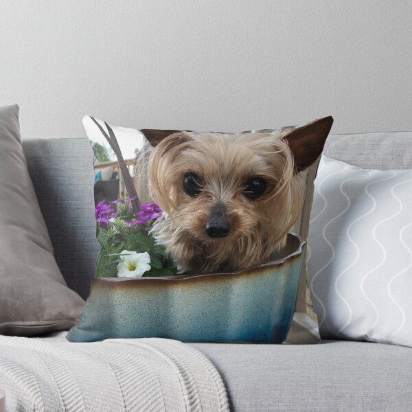Item preview, Ella Miniature Yorkshire Terrier :: Canines and Felines designed and sold by Platinumfrog.