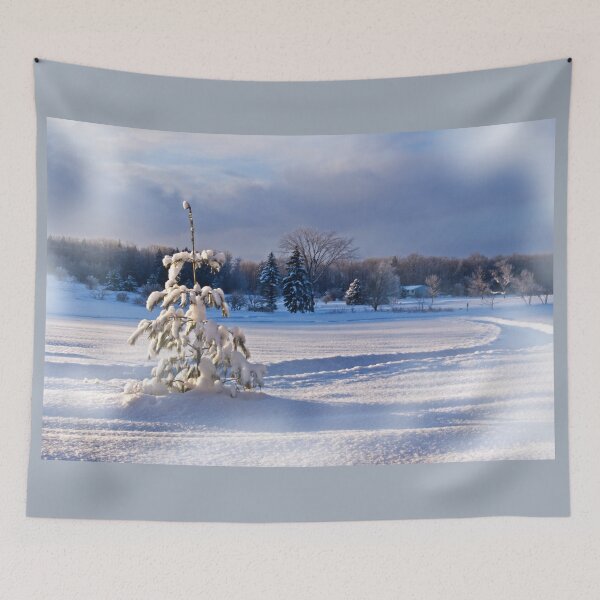 Artikelvorschau, Morgen in einem Snow-Laden-Feld entworfen und verkauft von Kathy Weaver.