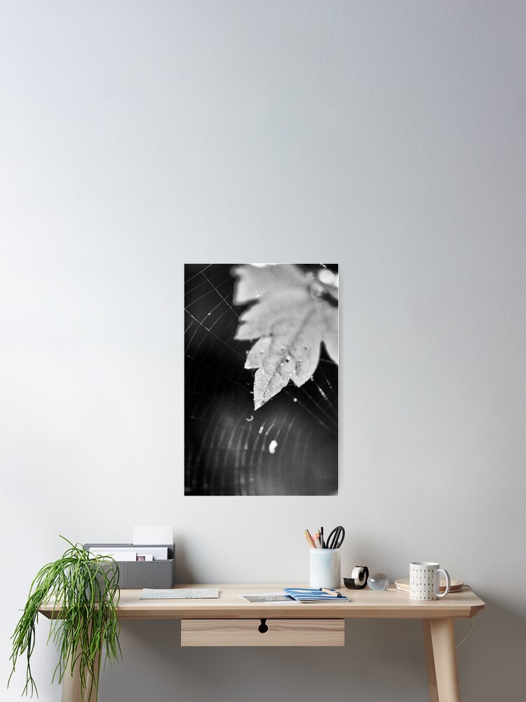 Thumbnail 2 of 3, Poster, Netted designed and sold by millagios.