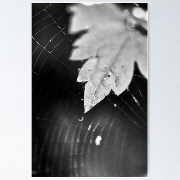 Item preview, Netted designed and sold by Milos Markovic.