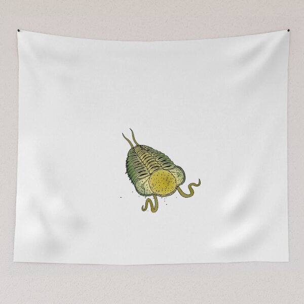 Item preview, Galeaspis sphaerica designed and sold by Stanton.