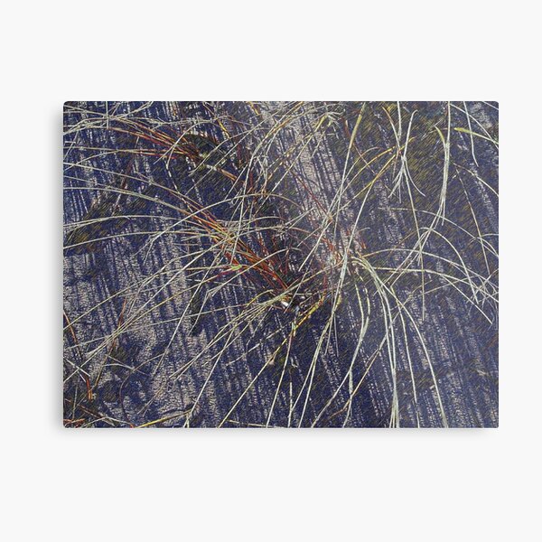 Beachgrass and Shadow Metal Print