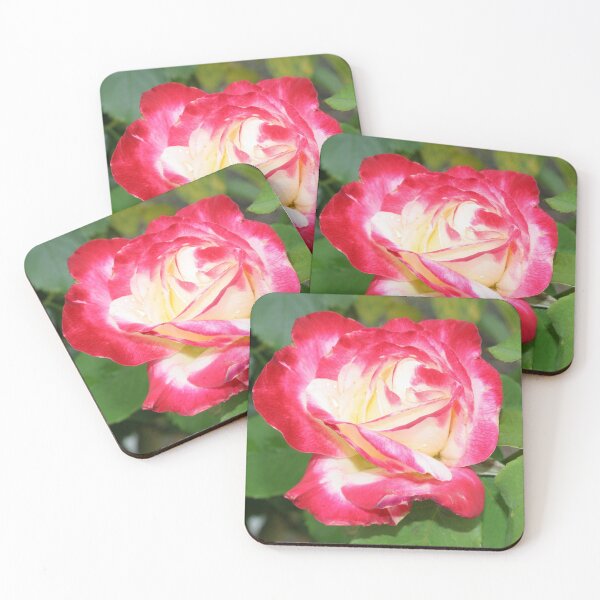 Item preview, Red Roses designed and sold by STHogan.