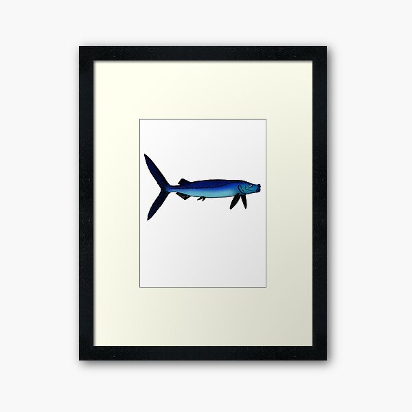 Amakusaichthys goshouraensis Framed Art Print