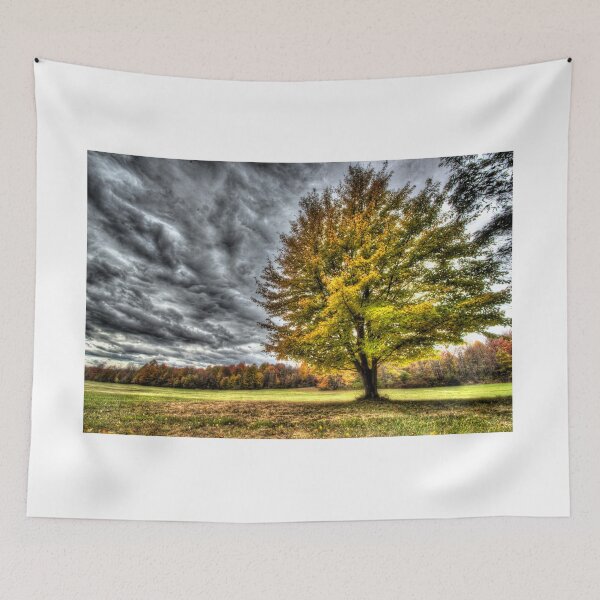 Item preview, HDR - Standing Against the Wind designed and sold by Doug Greenwald.
