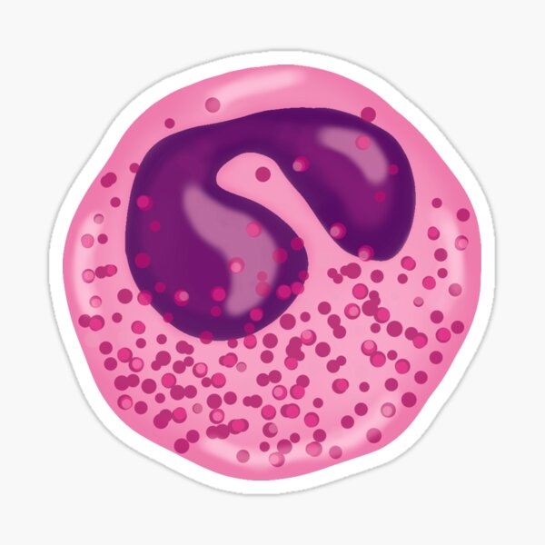 Item preview, Eosinophil designed and sold by ymaruchan.