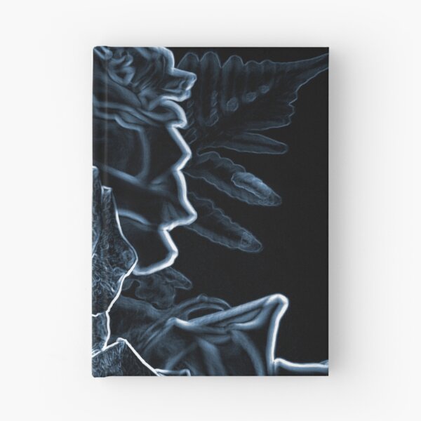 Item preview.