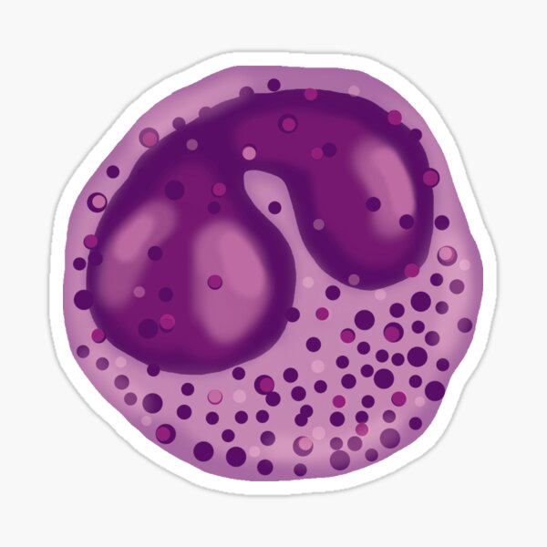Item preview, Basophil designed and sold by ymaruchan.