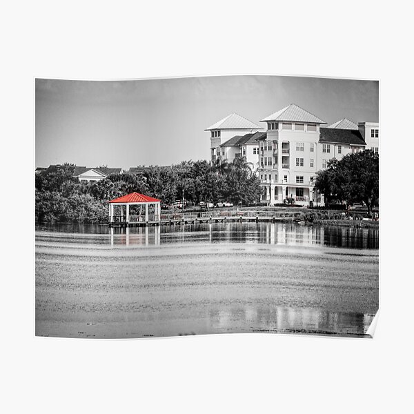 From The Lake Orlando Florida Poster