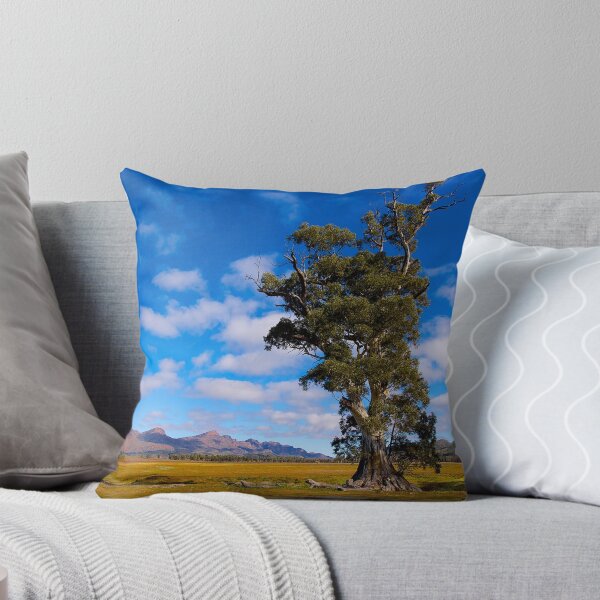 Item preview, Cazneaux Tree, Wilpena, Flinders Ranges, SA. (Study 10) designed and sold by johnrf.