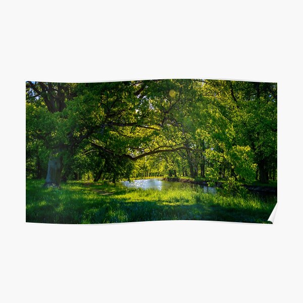 Summer Morning in the Park Poster