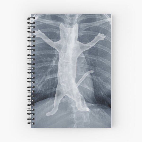 Item preview, X-ray designed and sold by tummeow.