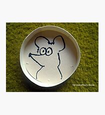 Camembert Photographic Print