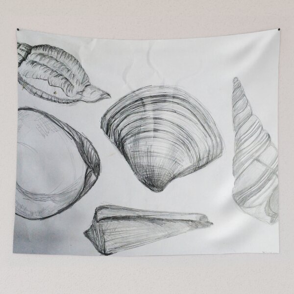 Item preview, Sea Shells 4 by Margo Humphries designed and sold by Margo Humphries.