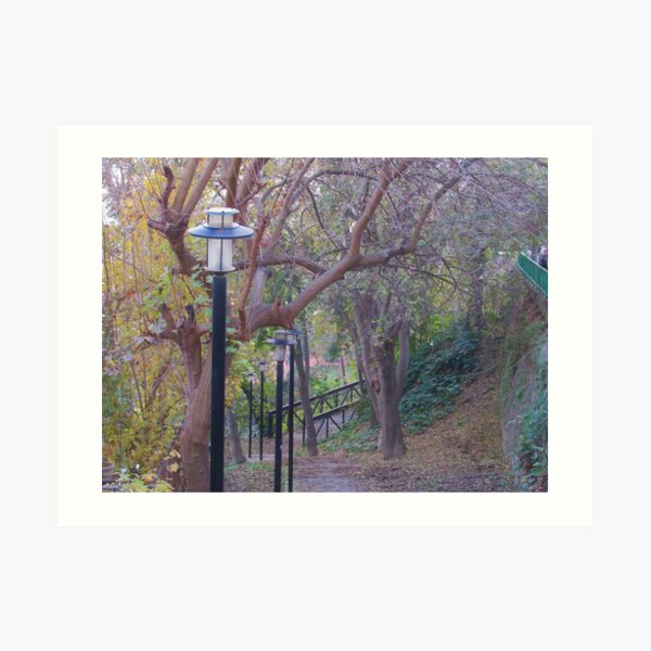 Art Print