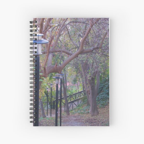 Spiral Notebook