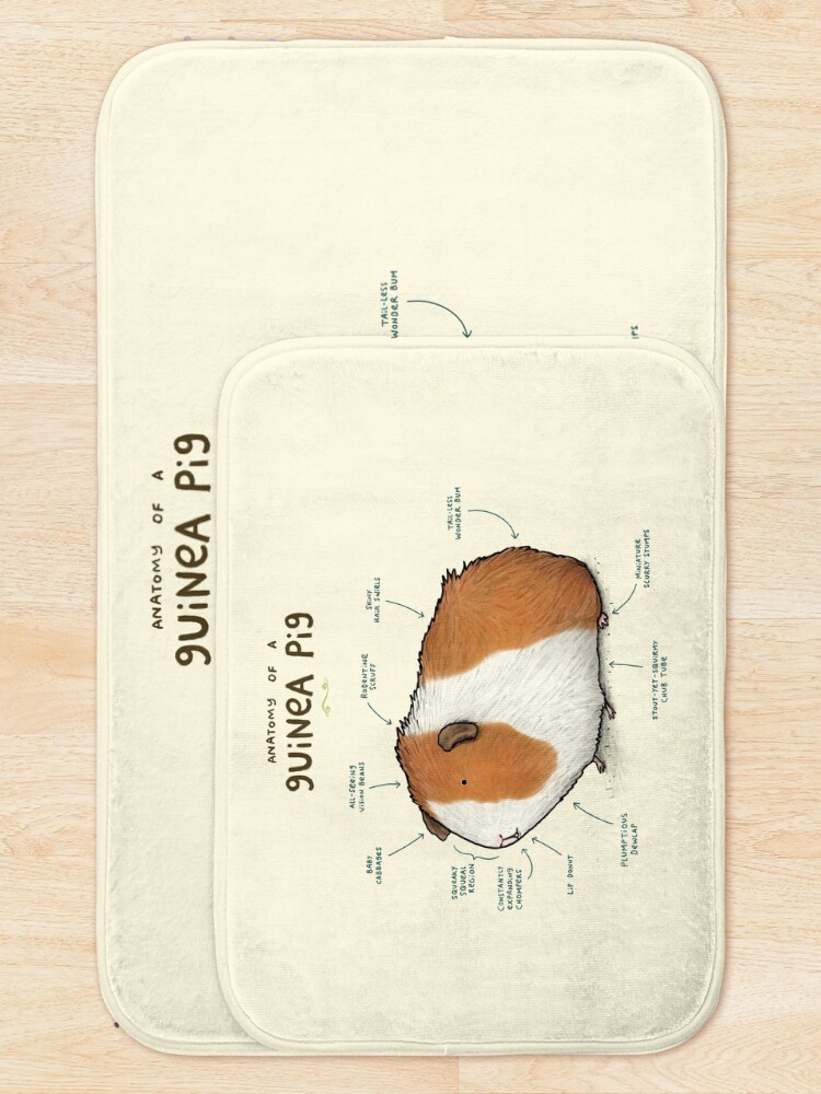 Alternate view of Anatomy of a Guinea Pig Bath Mat