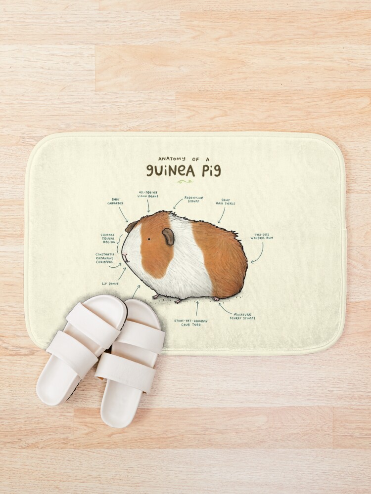 "Anatomy of a Guinea Pig" Bath Mat for Sale by Sophie Corrigan Redbubble