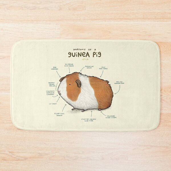 Item preview, Anatomy of a Guinea Pig designed and sold by SophieCorrigan.