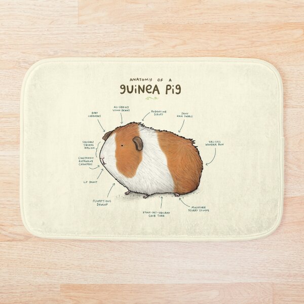 Anatomy of a Guinea Pig Bath Mat