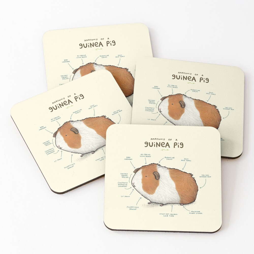 Anatomy of a Guinea Pig Coasters (Set of 4)