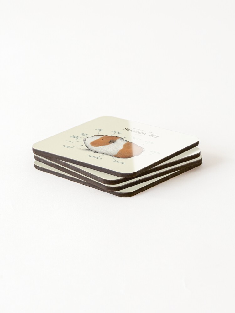 Alternate view of Anatomy of a Guinea Pig Coasters (Set of 4)