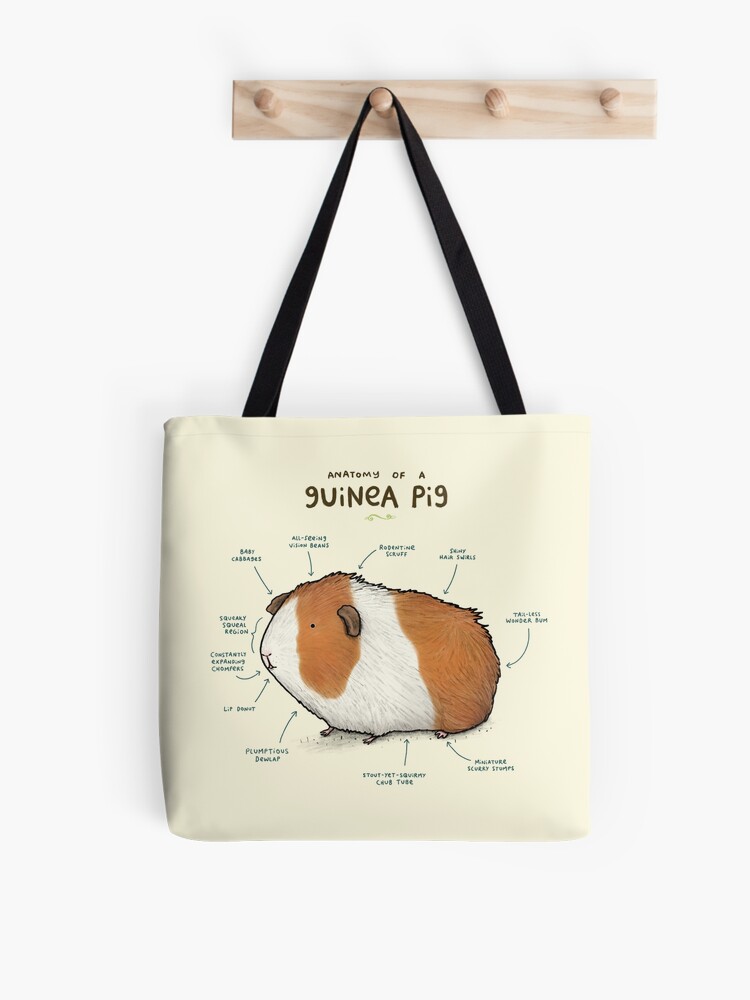 guinea pig bag