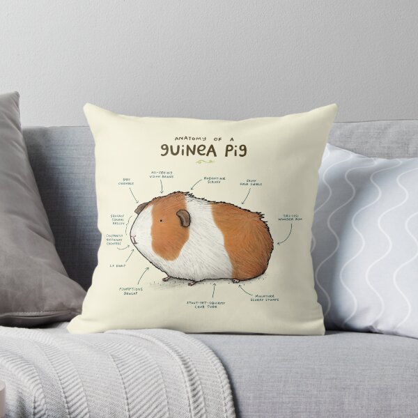 Anatomy of a Guinea Pig Throw Pillow