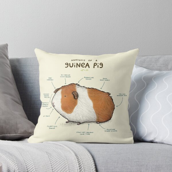 Item preview, Anatomy of a Guinea Pig designed and sold by SophieCorrigan.