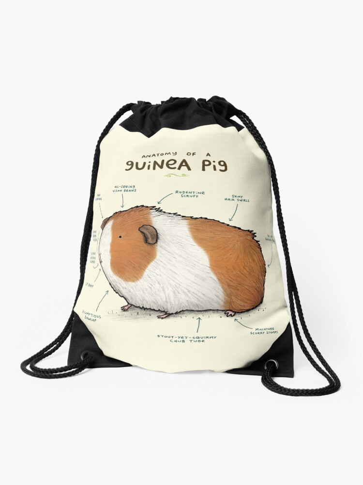 guinea pig bag