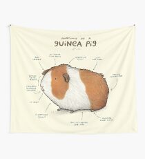 Anatomie eines Meerschweinchens Wandbehang