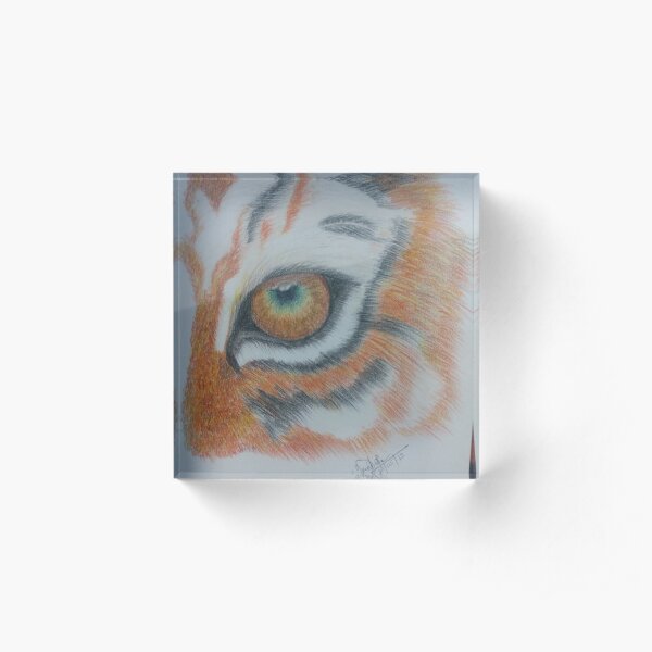 tiger eye Acrylic Block
