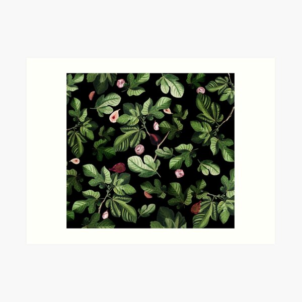 Figs Art Print