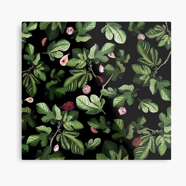 Figs Metal Print