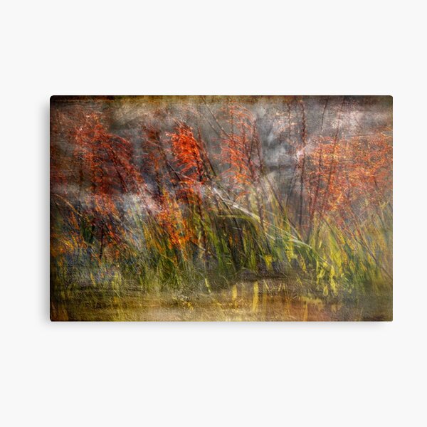 Misty Swamp Metal Print