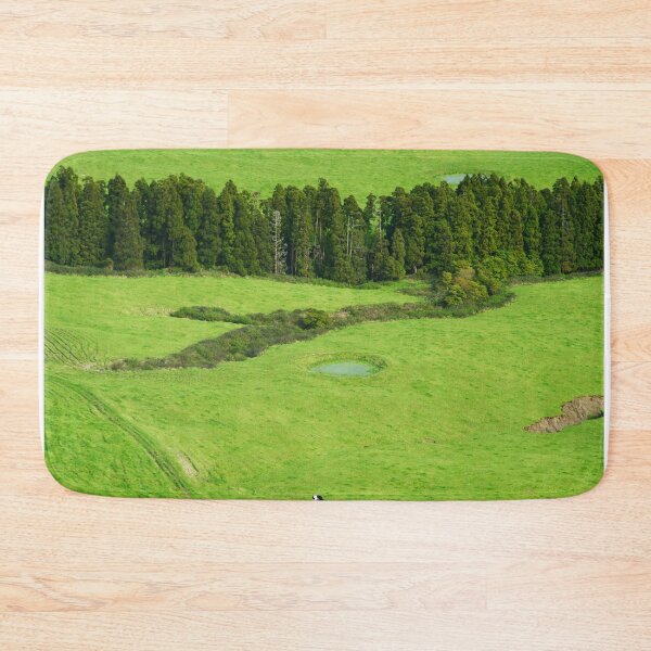 Item preview, Aerial view of pastures designed and sold by Gaspar Avila.