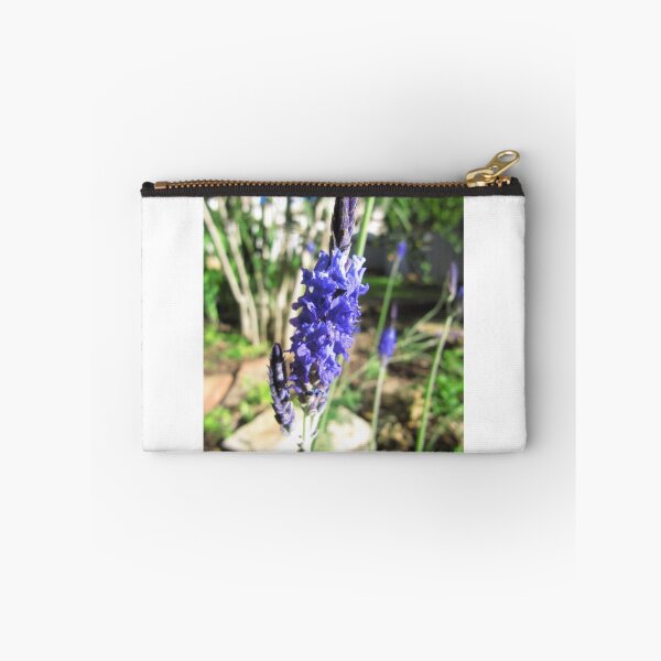 Item preview, Beautiful Blue! Australian Native Lavender in my Garden. Adelaide Foothills, Sth. Australia. designed and sold by RitaBlom.
