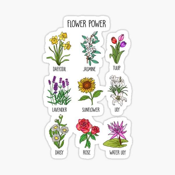 Botanical Flower Chart Sticker