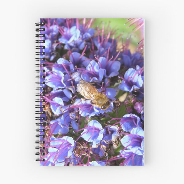 Item preview, WHICH ONE NEXT?  'Echium' a bees delight.  In the garden. Adeliade foothills, South Australia.   designed and sold by RitaBlom.