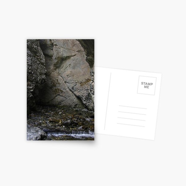 Item preview, Entrance to Zapata Falls, Rio Grand National Forest, CO 2010 designed and sold by J.D. Grubb.