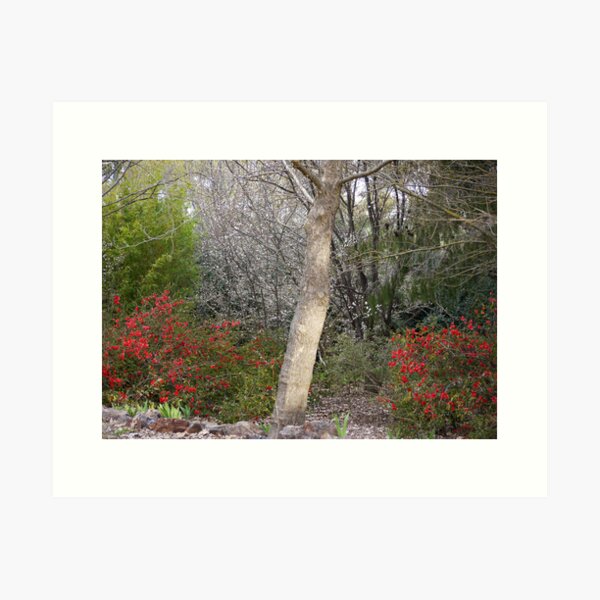 Item preview, Winters Day-A Touch of Red designed and sold by Sharon McRae.