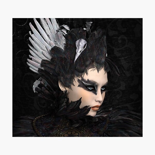The black swan Photographic Print
