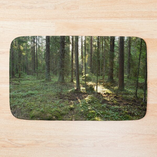 Item preview, Rays of sunlight lit at dawn a dense coniferous forest with earth dug up by  wild boar under fir trees designed and sold by yarvin13.